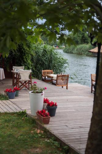tranquilla river lodge adults only