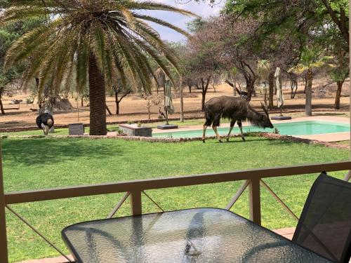 hotel otjibamba lodge