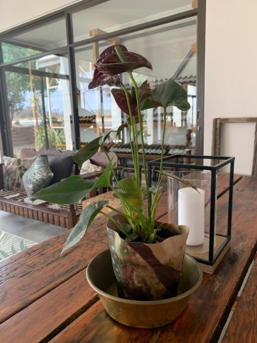 hotel otjibamba lodge