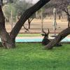 hotel otjibamba lodge
