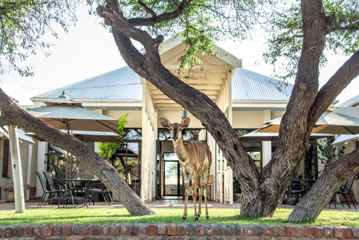 hotel otjibamba lodge