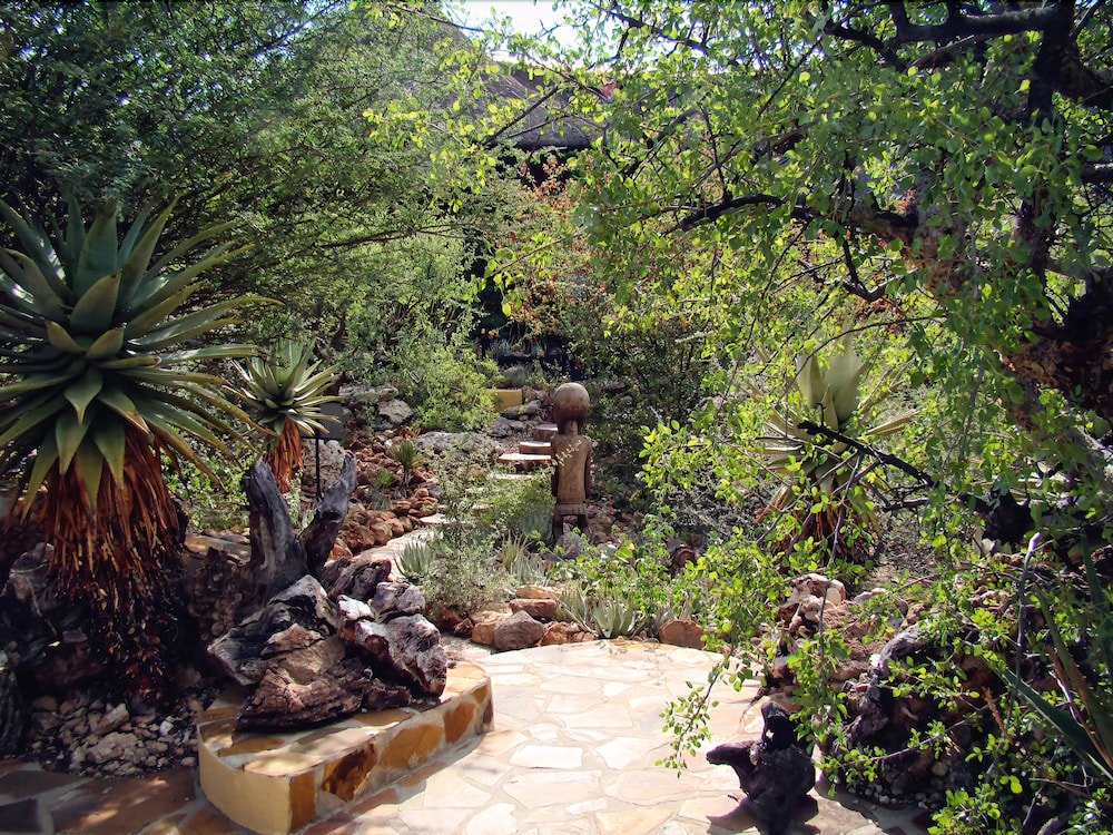 Vingerklip Lodge,Kamanjab>>Damaraland,4 star