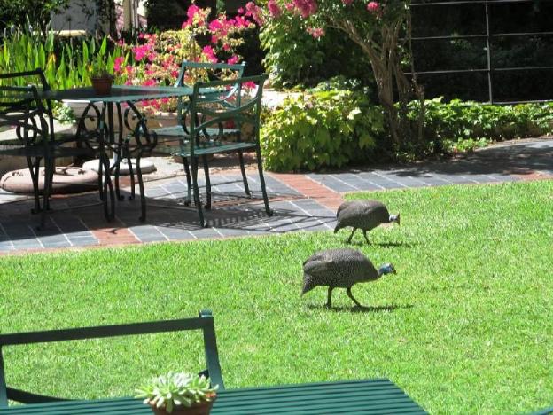 zomerlust boutique hotel