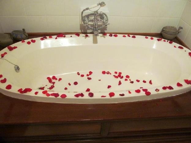 zomerlust boutique hotel