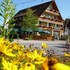 hotel restaurant gasthof zum schutzen