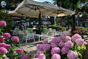 hotel suisse