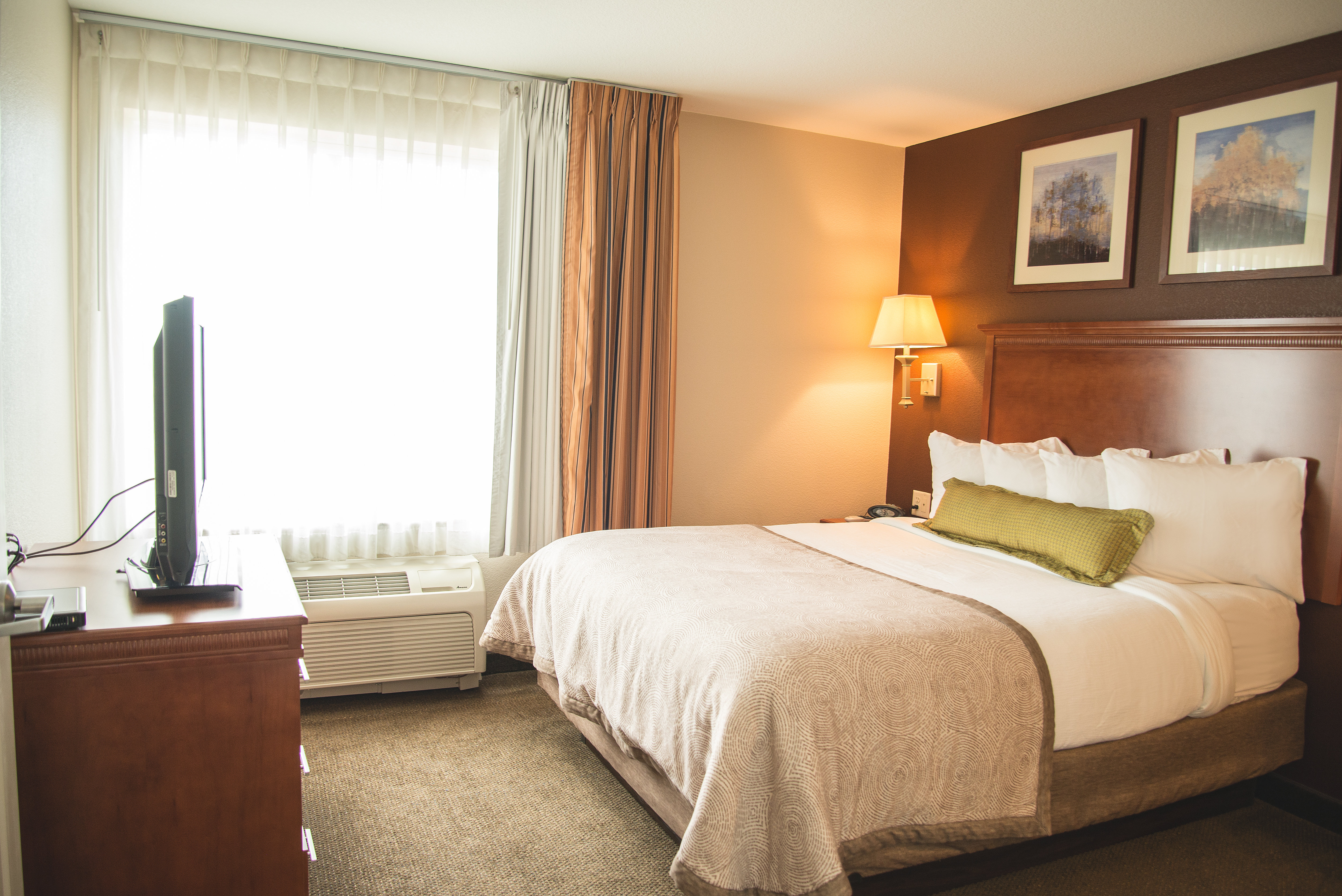 candlewood suites loveland by ihg