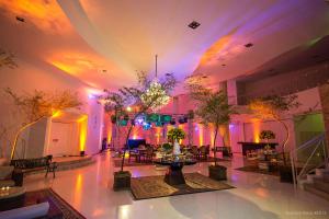 swan novo hamburgo