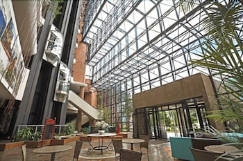 swan novo hamburgo