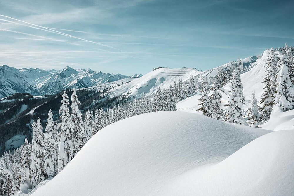alpine city living top 21