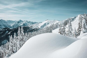 alpine city living top 32