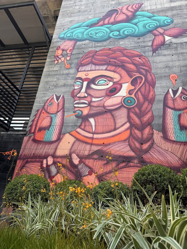 san pedro garza garcia