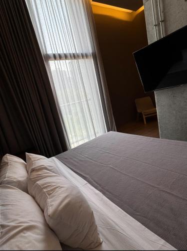 san pedro garza garcia