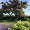 relais fasthotel saint amand montrond orval