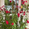 relais fasthotel saint amand montrond orval