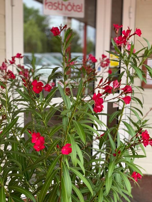 relais fasthotel saint amand montrond orval