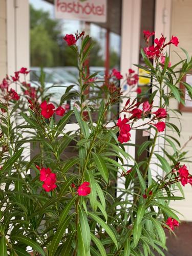 Relais Fasthôtel Saint-Amand-Montrond Orval,Orval>>Lunery,2 star