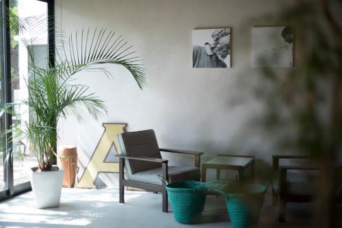 amigo house hostel