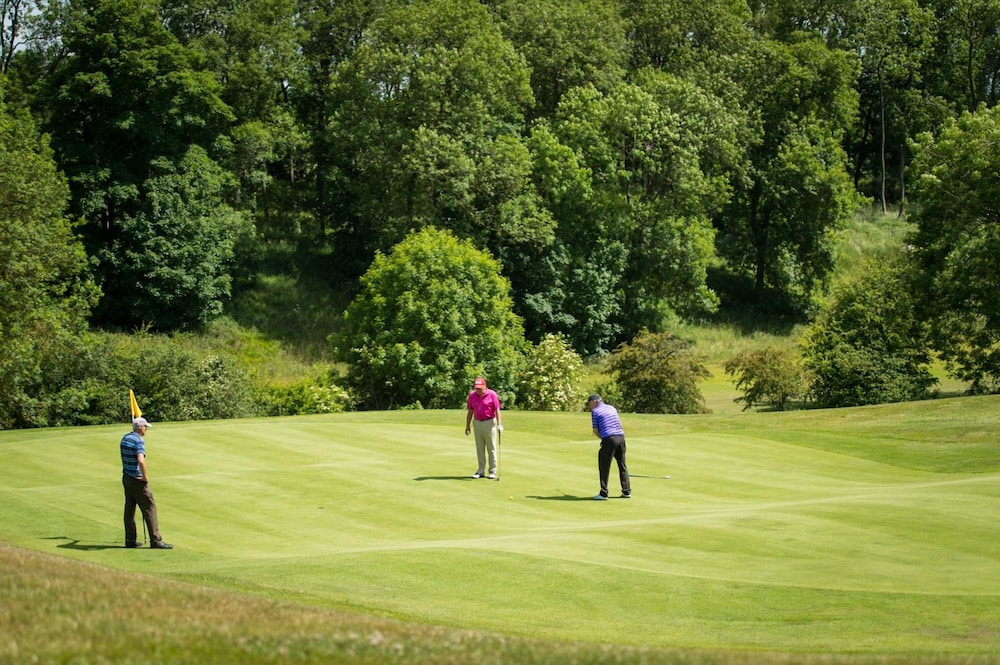 greetham valley hotel