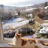 windermere