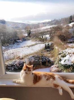 windermere