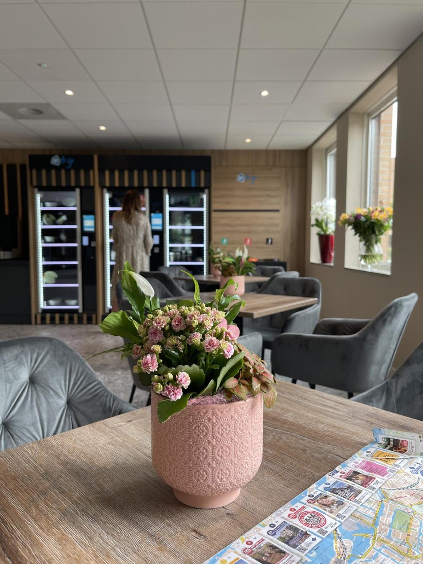 ozo hotels antares airport