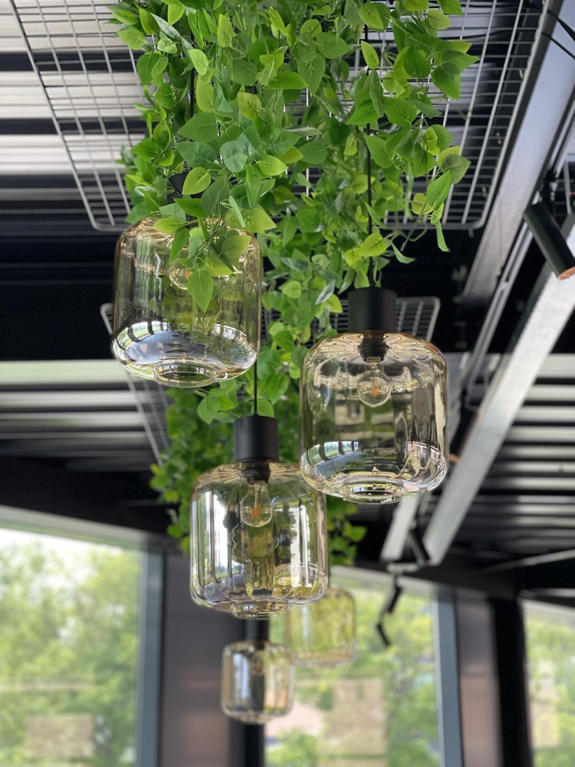 ozo hotels antares airport