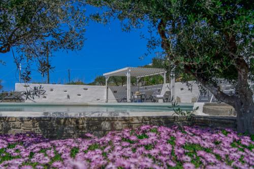 anthemion paros villas and suites