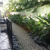 itatiaia