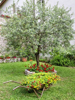 casa diocesana di lucca