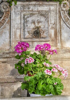 Casa Diocesana Di Lucca,Balbano>>Arliano,3 star