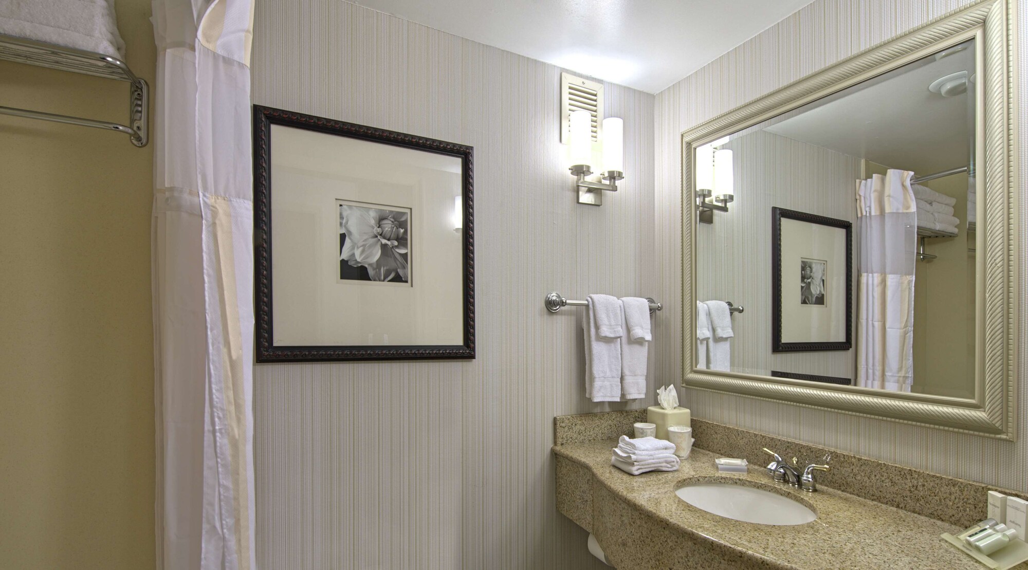 hilton garden inn auburn opelika