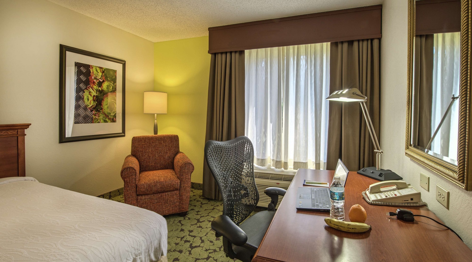 hilton garden inn auburn opelika