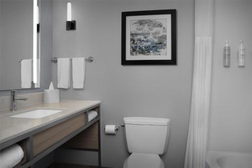 hilton garden inn auburn opelika