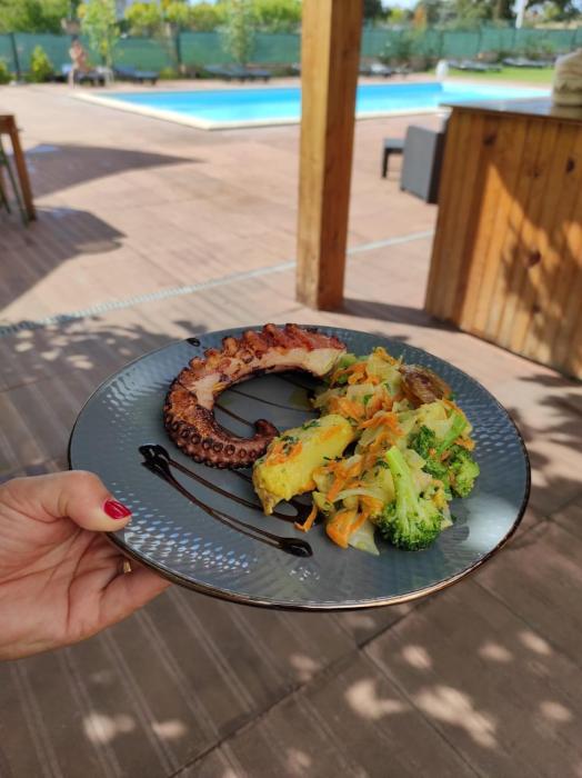 hotel boavista vintage house