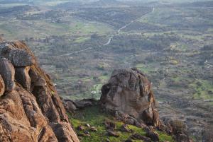 hotel boavista vintage house