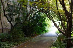 mount view hotel and spa