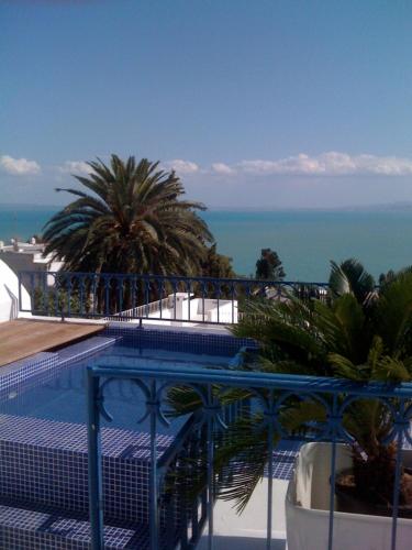 sidi bou said