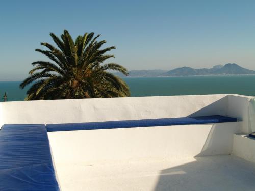 sidi bou said