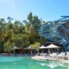 kingfisher bay resort