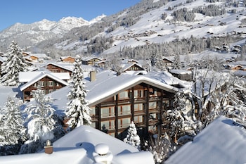 lenk