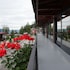 armon greenblu hotel and wellness