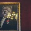 rowton castle hotel