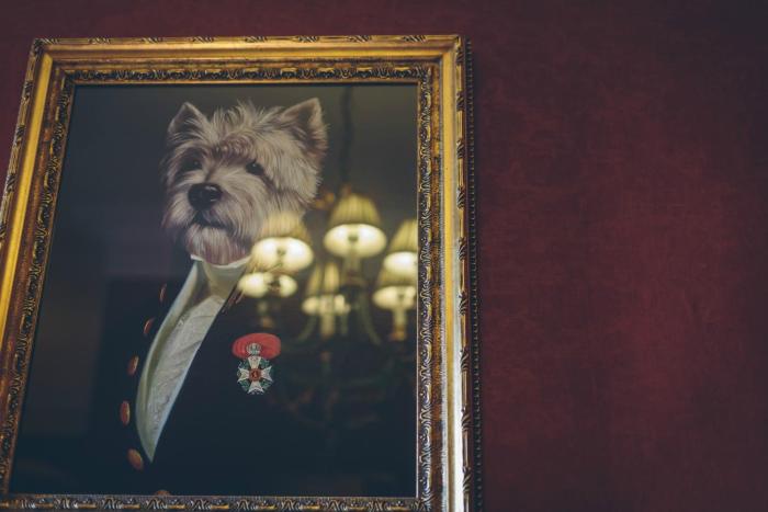 rowton castle hotel