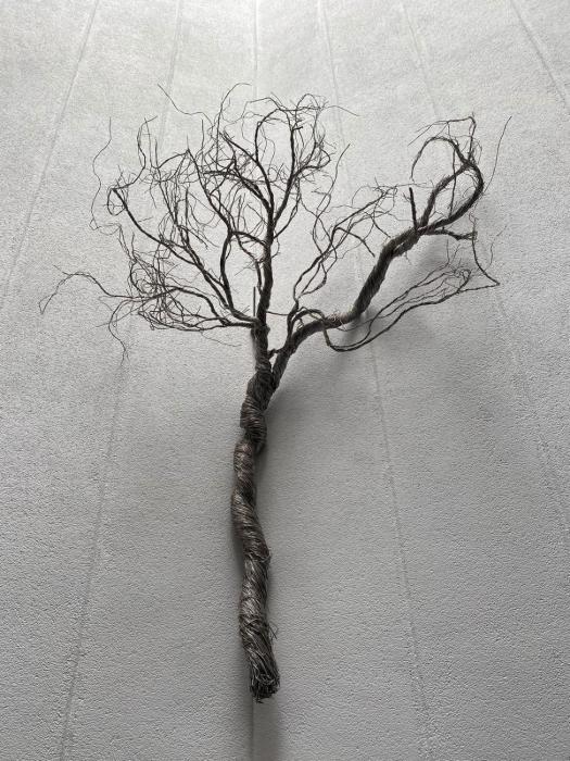 hotel roosevelt condesa