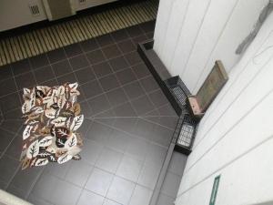 hotel roosevelt condesa