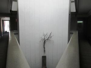 hotel roosevelt condesa