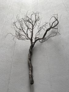 hotel roosevelt condesa