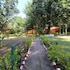 ashoka jungle resort