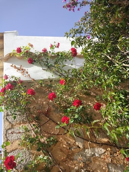 agroturismo sa vinya den palerm